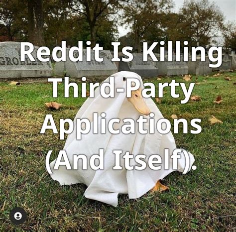 reddit bestof